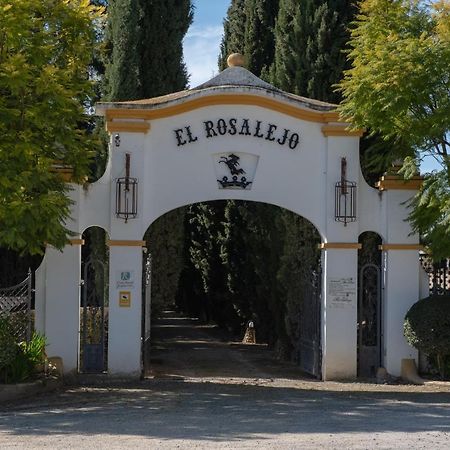 比利亚马尔廷 Hacienda El Rosalejo旅馆 外观 照片